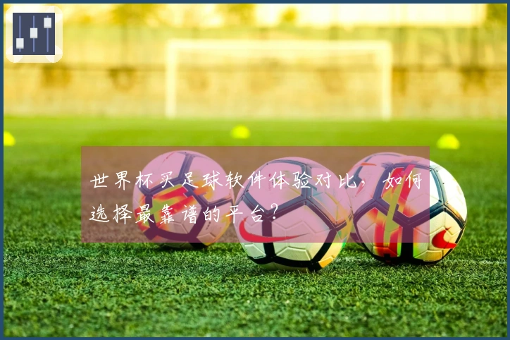 世界杯买足球软件体验对比,如何选择最靠谱的平台?