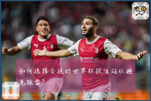 如何选择合适的世界杯投注站以避免踩雷?