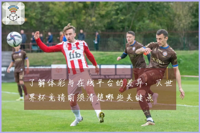 了解体彩与在线平台的差异，买世界杯竞猜前须清楚哪些关键点