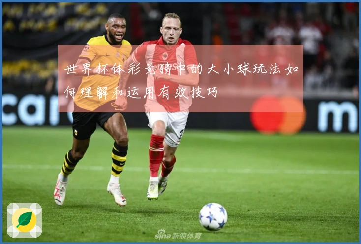 世界杯体彩竞猜中的大小球玩法如何理解和运用有效技巧