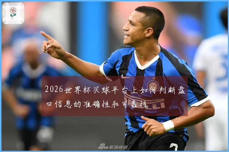 2026世界杯买球平台上如何判断盘口信息的准确性和可靠性