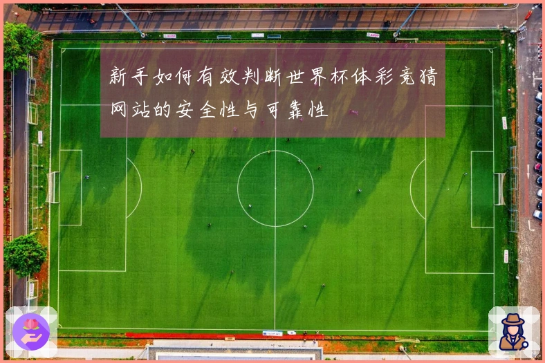新手如何有效判断世界杯体彩竞猜网站的安全性与可靠性