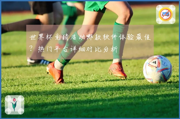 世界杯竞猜活动哪款软件体验最佳？热门平台详细对比分析